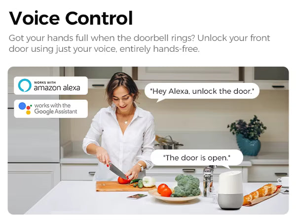 Smart Fingerprint Door Lock 502 – WiFi, Keypad, App, Fingerprint Unlock | Human Detection